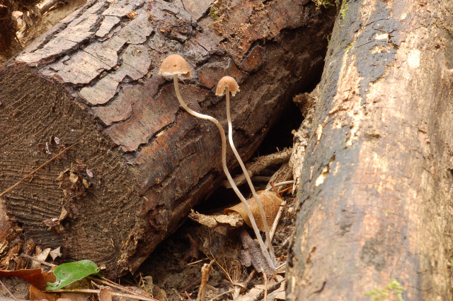 Criticatemi pure senza piet�!